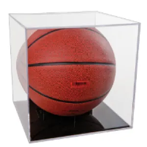 Basketball Case