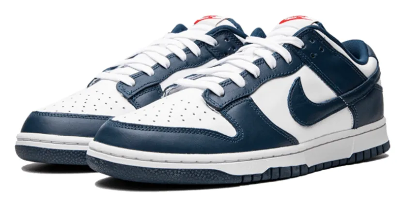 Nike Dunk Low 'Valerian Blue'